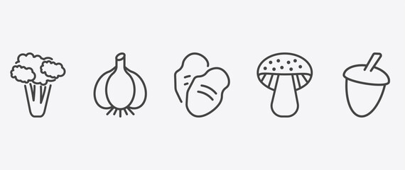vegetables and fruits icon set with garlic, tuber, mushroom, acorn signs in flat outline style © Abstract