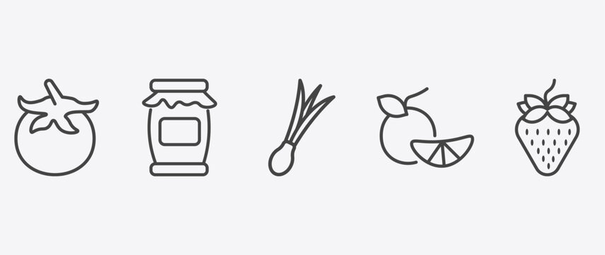 vegetables and fruits icon set with mason jar, spring onion, tangerine, strawberry signs in flat outline style