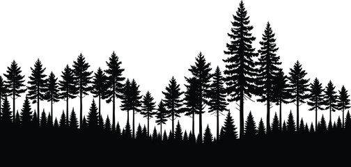 Fototapeta premium Forest tree silhouette landscape with pine and evergreen woodland for nature illustration, outdoor scenery, and environmental design background