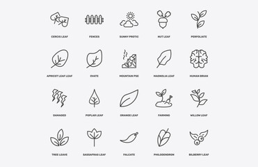 nature icon set with cercis leaf, fences, sunny protic, damaged signs in flat outline style © Abstract
