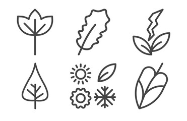 nature icon set with sassafras leaf, pedunculate, poplar leaf, philodendron signs in flat outline style © Abstract