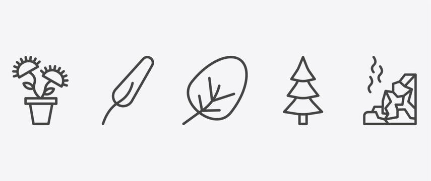 nature icon set with subulate, apricot leaf leaf, spruce, mountain pse signs in flat outline style