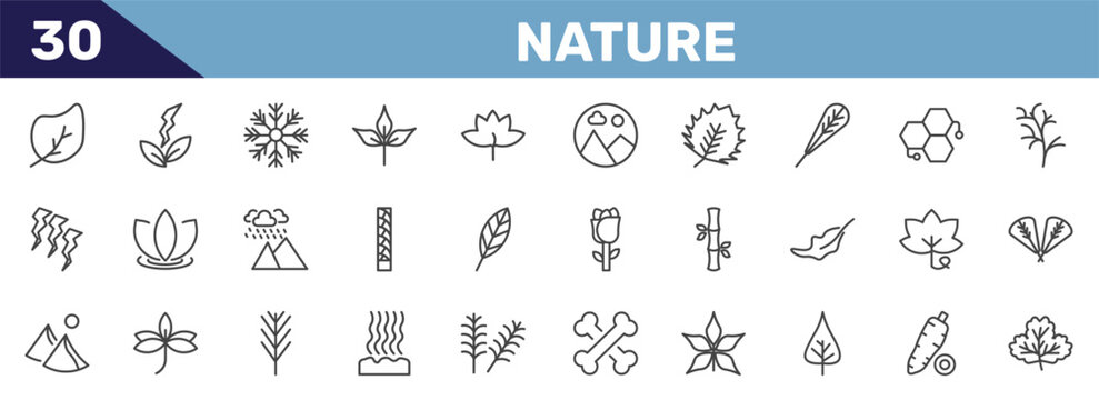 nature icon set with ovate, natural energy, big snowflake, gooseberry leaf signs in flat outline style