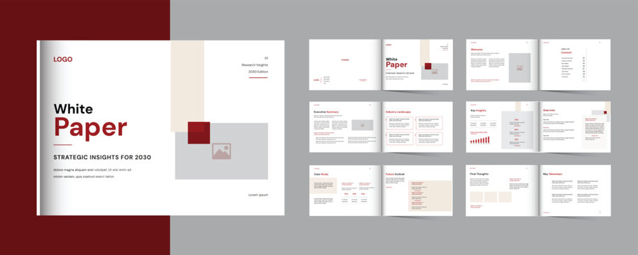 Professional 12 Page White Paper Brochure or Annual Report and Case Study Template