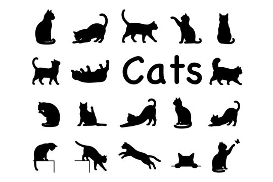 猫 Images – Browse 188,508 Stock Photos, Vectors, and Video