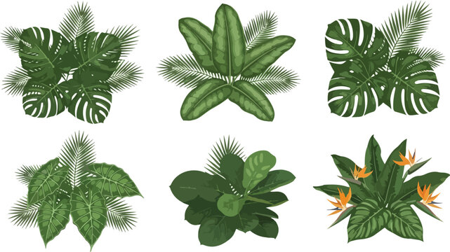 A collection of green cannabis leaves and hemp foliage creates a natural medicine pattern featuring organic herbal plant design and spring flora