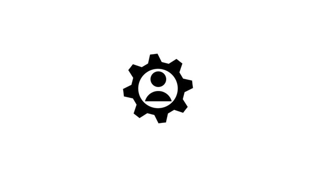 setting minimalist stroke 4k video animation .