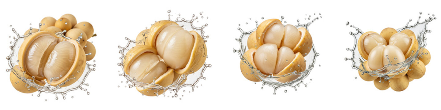 Fresh longkong fruits with water splashes isolated on black background