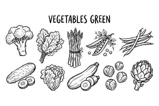 Hand drawn green vegetables collection, vintage line art food illustrations, organic healthy produce sketches for menu design and packaging