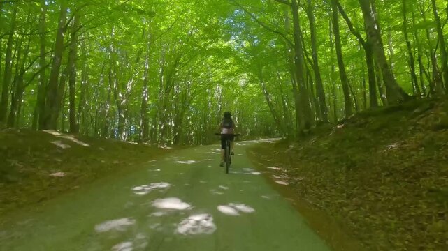 GIRARE IN BICI PER LE FORESTE 