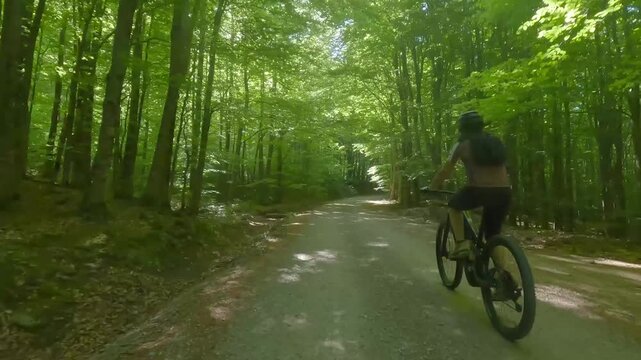 GIRARE IN BICI PER LE FORESTE 
