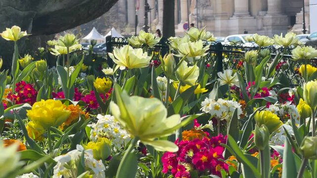 Vivid spring garden with vibrant blooms and city backdrop