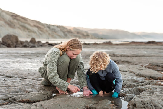 Siblings exploring rock tidal pools outside together