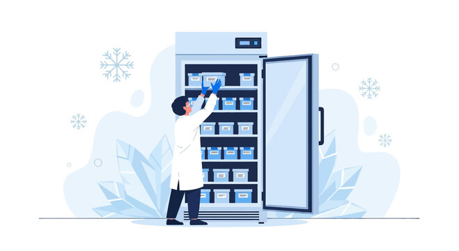Scientist Organizes Samples in Freezer, Laboratory Storage, Medical Research