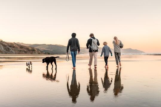 Father and children walking dogs on beach at sunset