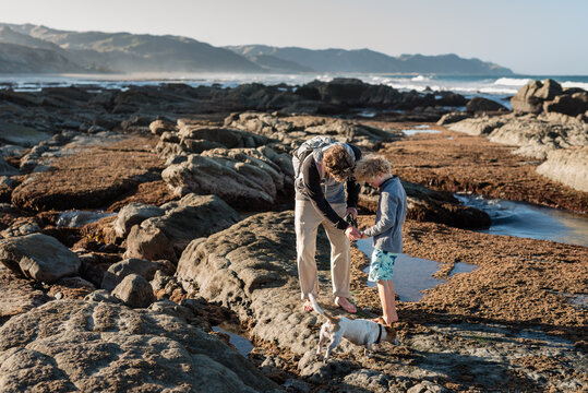 Father showing son sea creature in tide pools