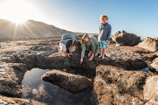 Father and children exploring rock tidal pools