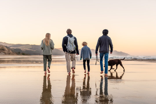 Dad and children walking dogs on New Zealand beach