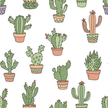 Cute cactus plants in terracotta pots on a white background. Hand-drawn style illustrations of various cactus types in planters.