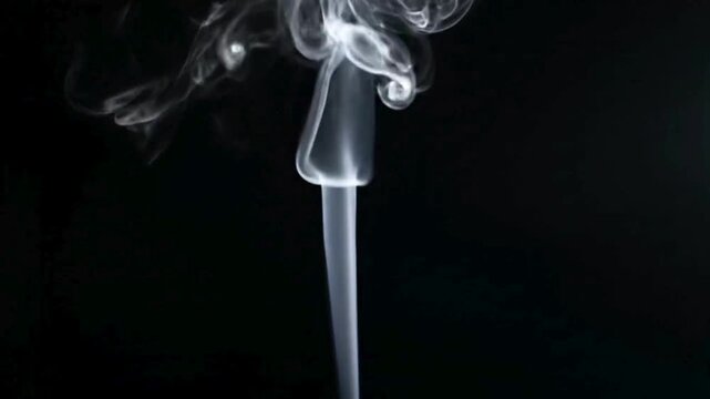 Abstract wisps of white smoke curl gracefully into intricate patterns against a deep black background creating an artistic visual effect.