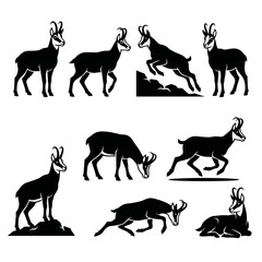 Fototapeta premium Black and white vector silhouette set of Chamois