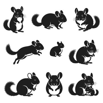 Black and white vector silhouette set of Chinchilla