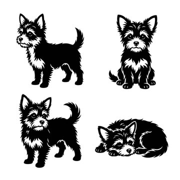 Black and white vector silhouette set of Chorkie.