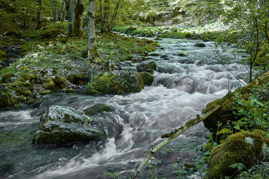 PNALM (Parco Nazionale Abruzzo Lazio e Molise): il Rio Torto
