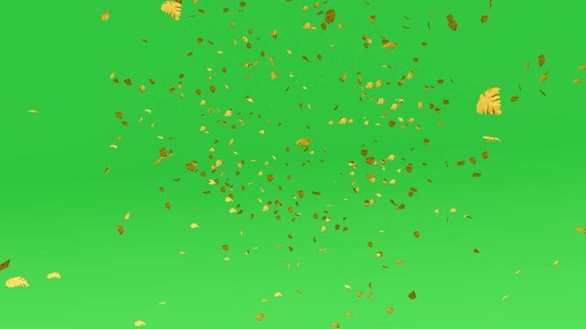 Leaves falling animation on green screen 4k. leaf falling. chroma key background