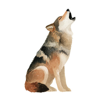 Wolf howling at the moon alone.