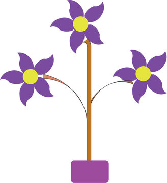 Purple pinwheel Flowers Vector lustration on White Background.