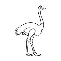 Fototapeta premium Ostrich Line Art Illustration - Black and White Outline of a Bird