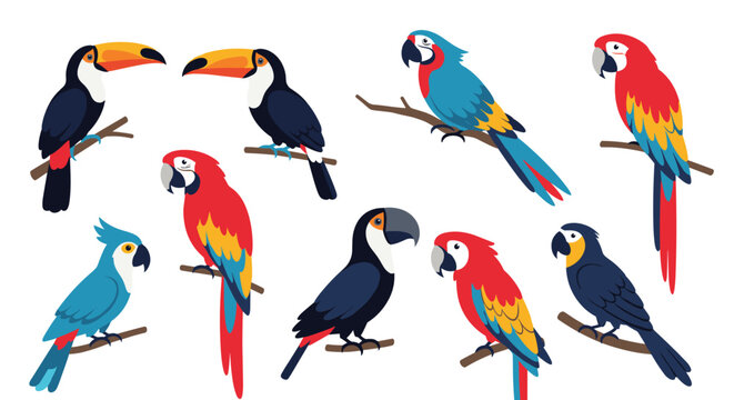 Colorful collection of exotic bird illustrations featuring different species of parrots and toucans perched on branches against white background.