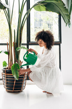 Woman watering houseplant in bright modern home interior