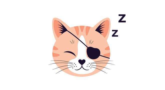 Adorable illustration of a sleeping ginger cat face with a black eye patch and small zzz symbols floating above its head.
