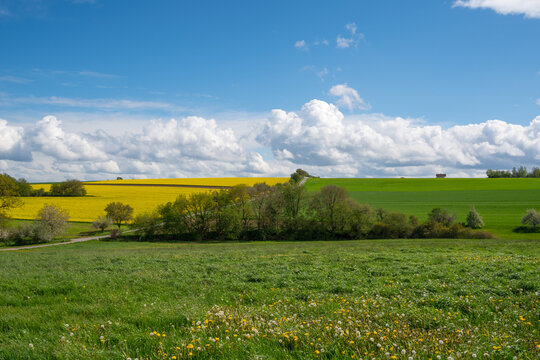 Agrarlandschaft im Spessart im Fr&uuml;hsommer