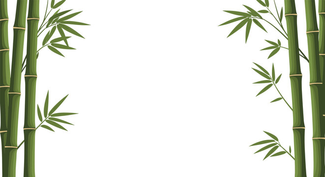 Green bamboo forest frame with detailed stalks and leaves on both sides of a white space for zen and wellness themes.
