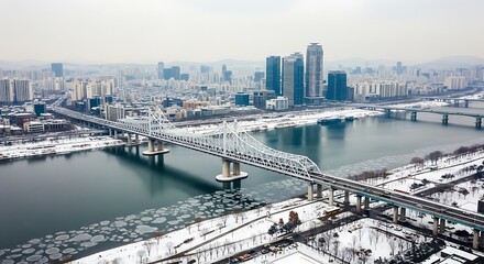 Fototapeta premium Aerial view of a large bridge over a river with urban skyline in background