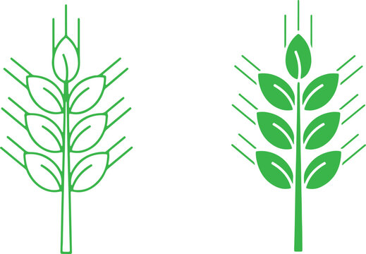 Green Wheat Stalk Icon Set - Modern Minimalist Agricultural & Sustainable Eco-Branding Vector Symbols