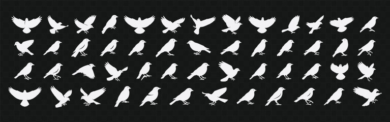 Obraz premium Collection of bird silhouette vectors in various flying poses, featuring clean monochrome shapes arranged in set format, ideal for logos, nature themes, patterns, and decorative design use.