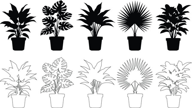 Set of ten potted houseplant featuring five solid black silhouettes and five matching thin-line outlines of monstera, palm, and broad-leaf tropical plants in simple ceramic pots