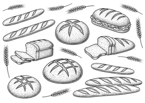 Assorted bakery bread loaves and wheat stalks. Hand drawn vintage engraved, vector illustration.