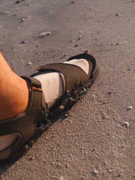 Relaxed walk on sandy trail. Casual journey through sunlit sandy paths