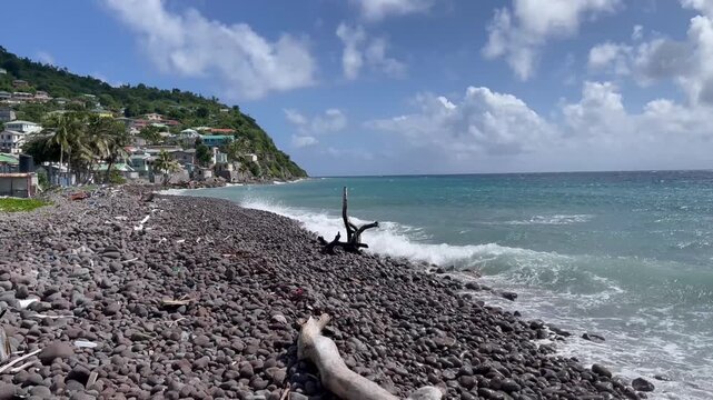 Tropischer Kieselstrand mit Treibholz und t&uuml;rkisfarbenem Meer