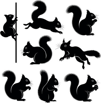 Collection of squirrel silhouettes engaged in various activities with bushy tail