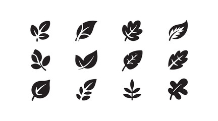 Fototapeta premium Set of black leaf icons and nature silhouettes for web design and digital illustrations collections.