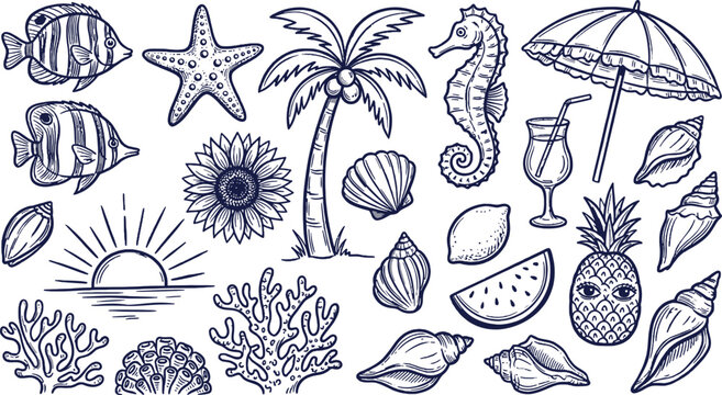 Hand drawn summer beach elements set with seashells, palm tree, fish, starfish, pineapple and cocktail, tropical vector illustration collection