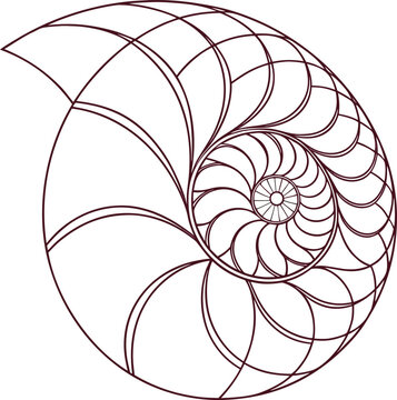 Nautilus shell, spiral design, maroon line art, geometric pattern, abstract shape