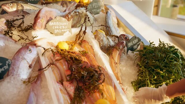 Fresh fish displayed on crushed ice at seafood market counter with price tags. Vendor wearing gloves arranges colorful catch including red mullet and sea bass with seaweed and lemons.