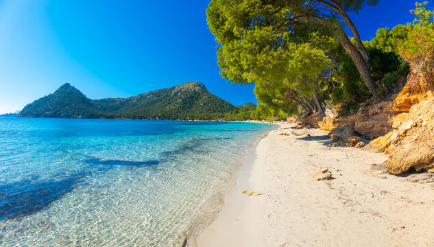 Mallorca Majorca Spain